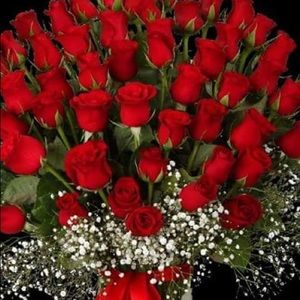 Meet your Posher, Jamileth